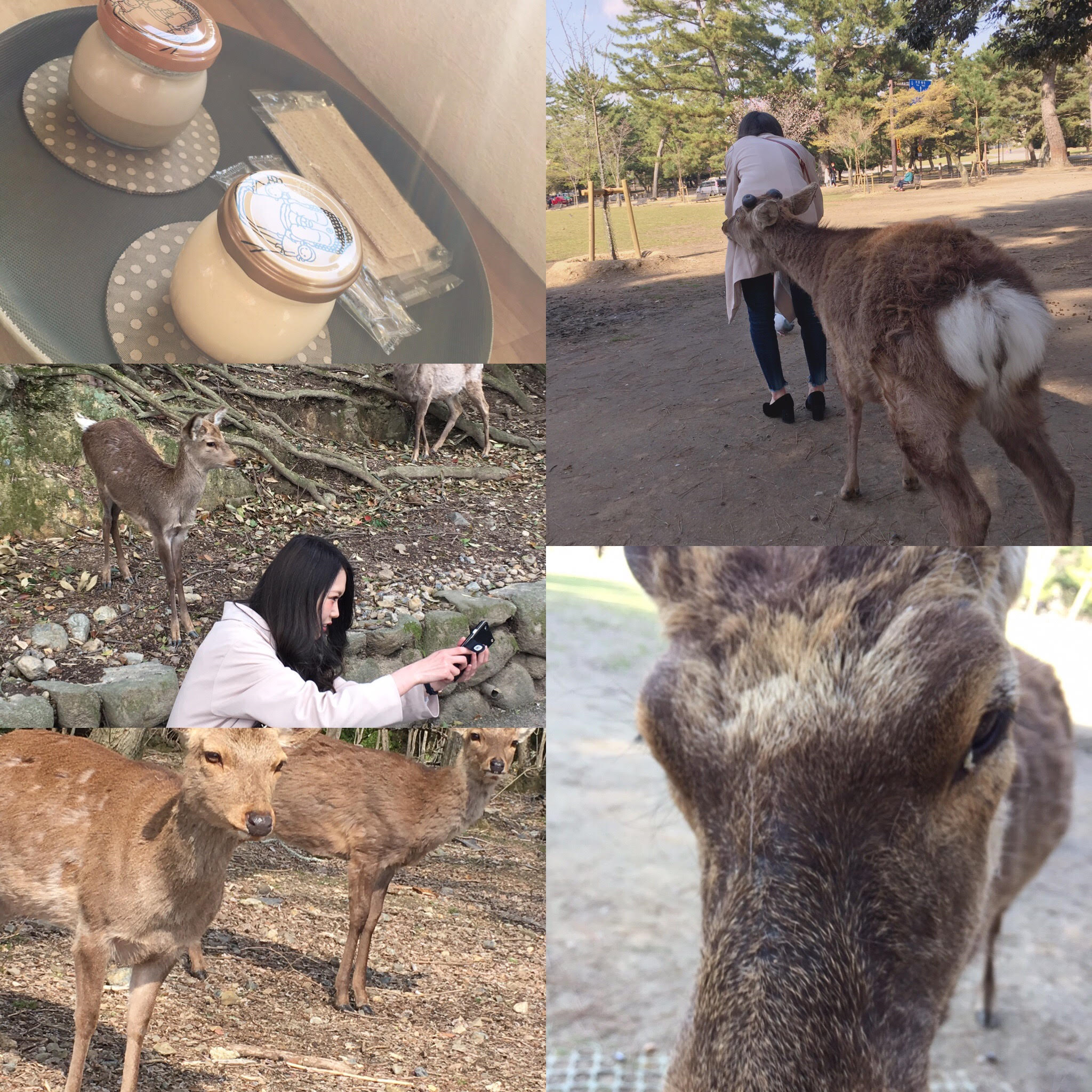 HAPPYEL ハピエル 大和高田 美容室 休暇♪